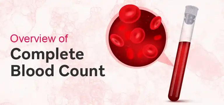 An Overview of Complete Blood Count Test